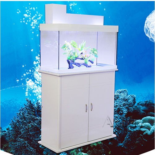 80cm Glass Giant Aquariums Customized With cabinet