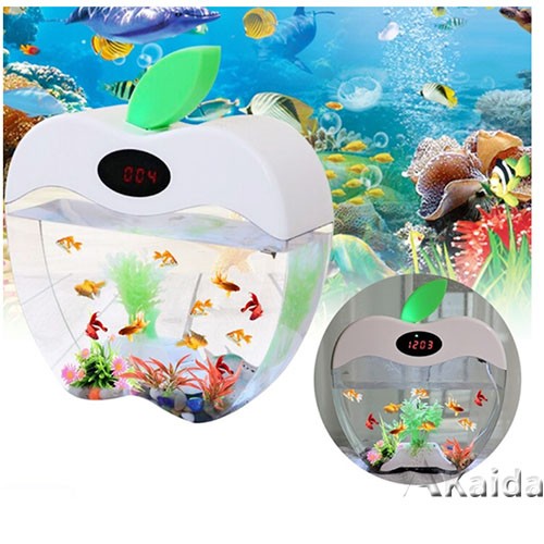 Customize Different Size Table Model Acrylic Aquarium Fish Tank